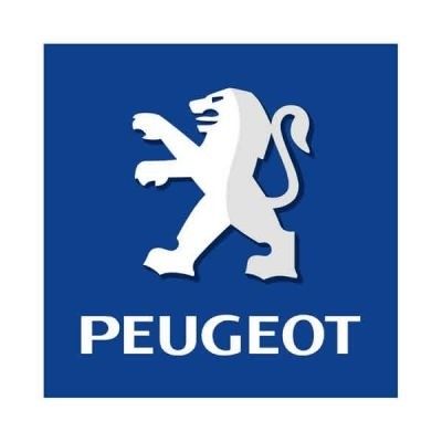 Bozsó Chiptuning - Gyártó Peugeot